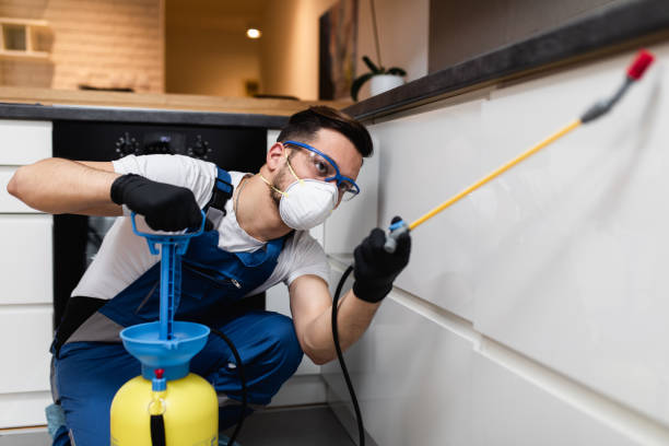 Best Flea Control Services  in Port Royal, SC