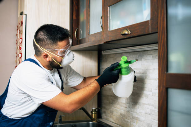 Best Rat Extermination Near Me  in Port Royal, SC