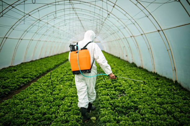 Best Best Pest Control Companies  in Port Royal, SC