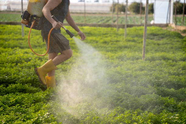 Best Affordable Pest Control Services  in Port Royal, SC