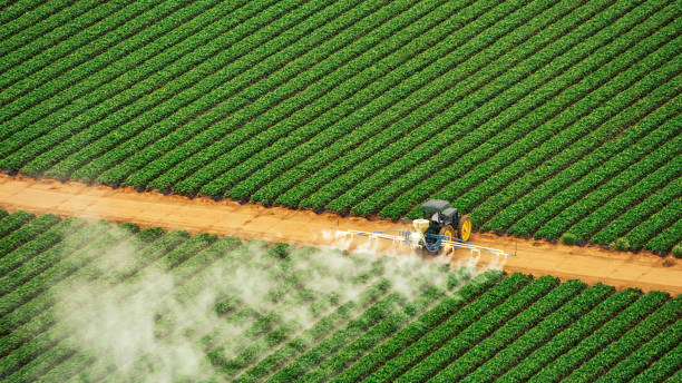 Best Pest Removal Services  in Port Royal, SC