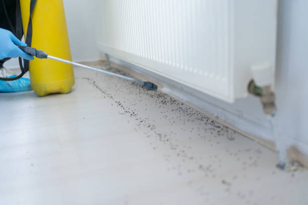Best Pest Prevention Services  in Port Royal, SC